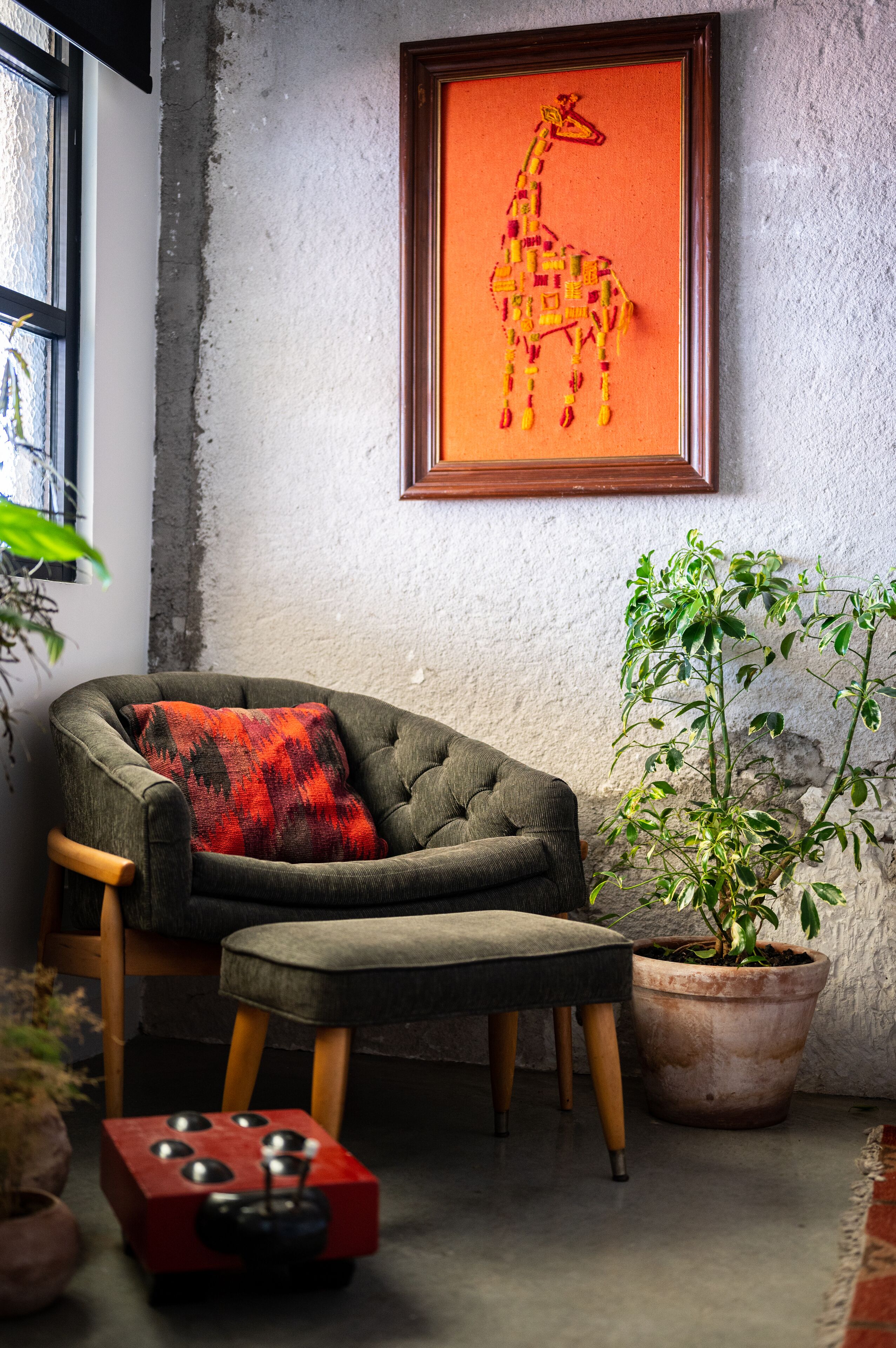 Foto - Hotel Boutique Lafayette Tijuana