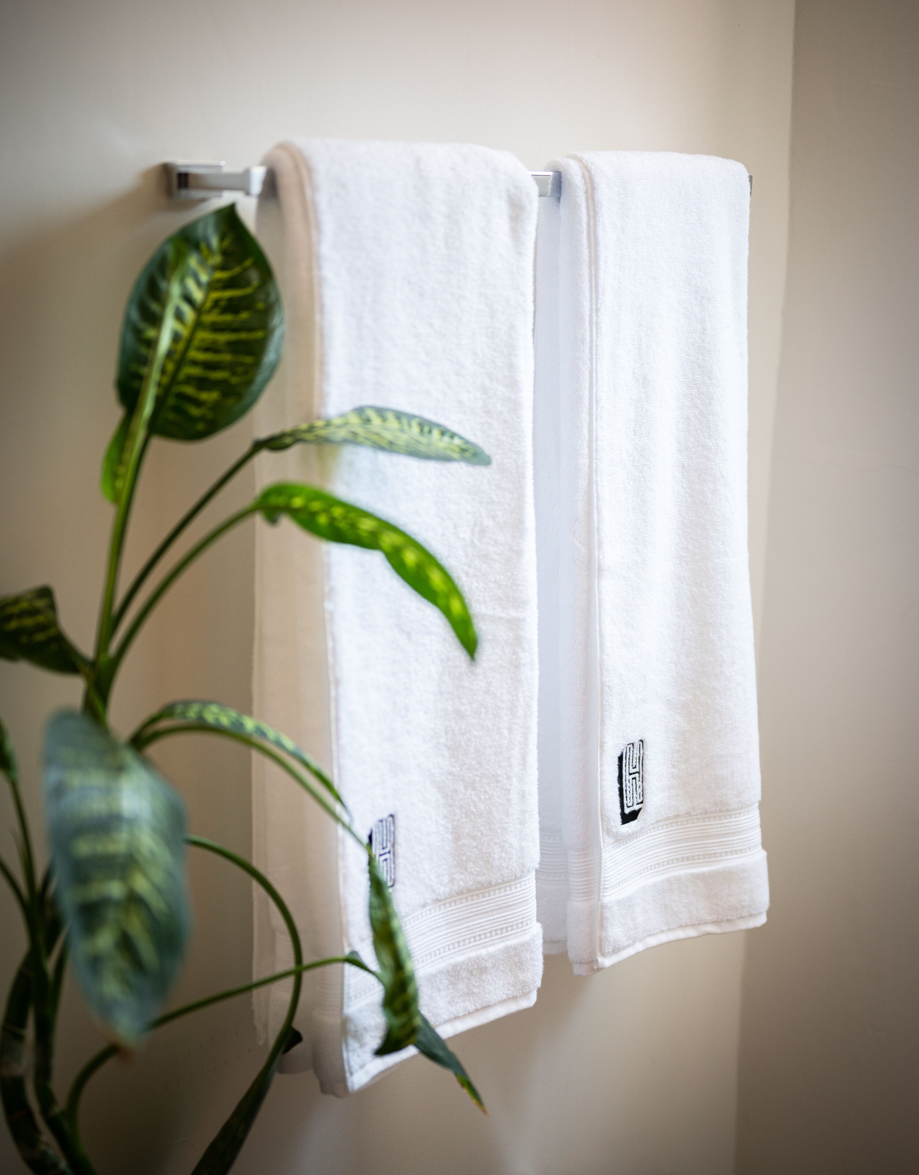 Foto - Hotel Boutique Lafayette Tijuana