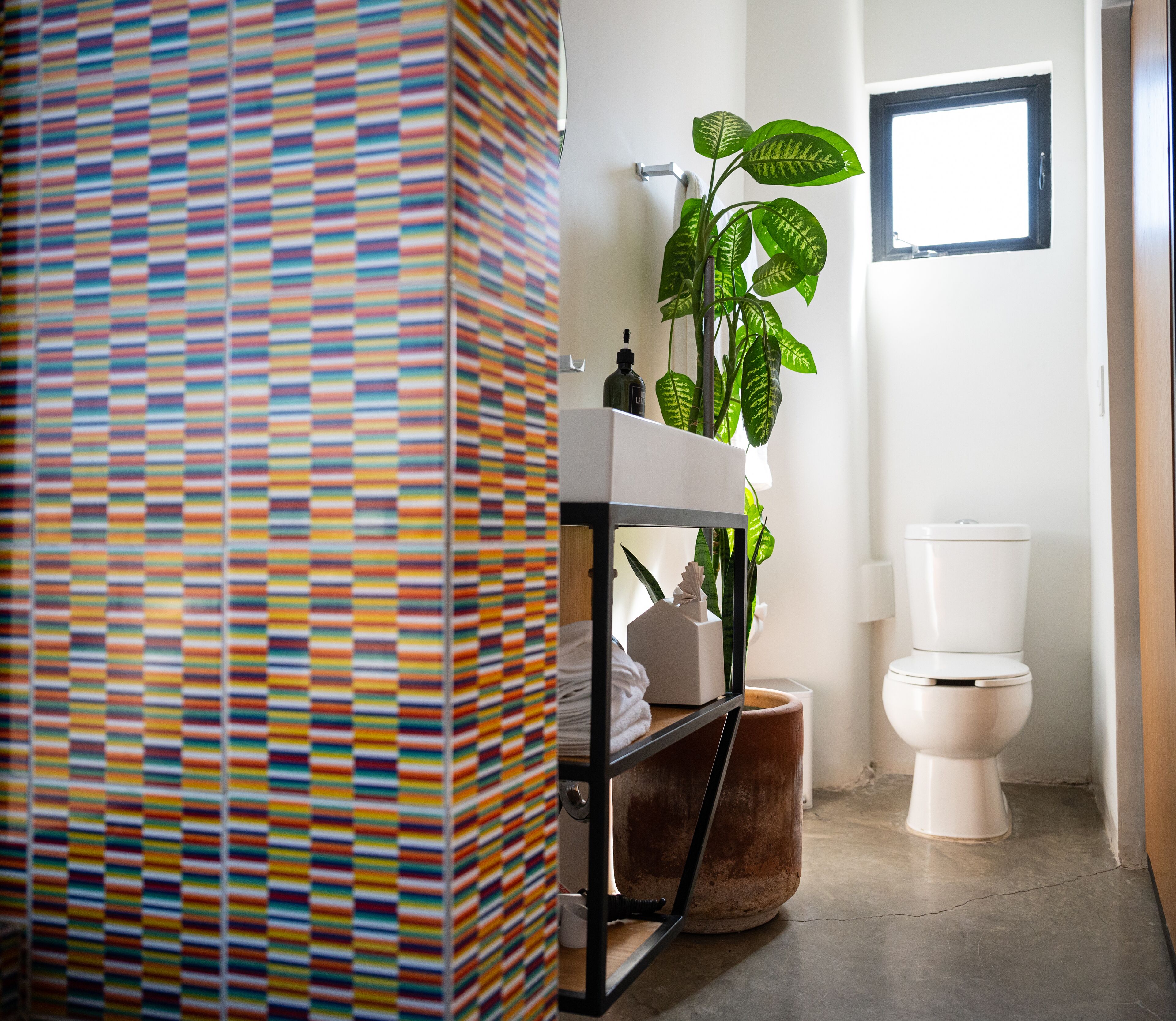 Foto - Hotel Boutique Lafayette Tijuana