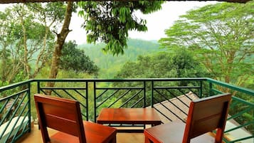 Deluxe Double or Twin Room | Balcony