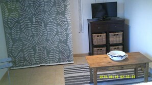 A room with a sliding door, a television on a cabinet, and a table with a bowl. - shed in a property close to the countryside (Pélissanne)