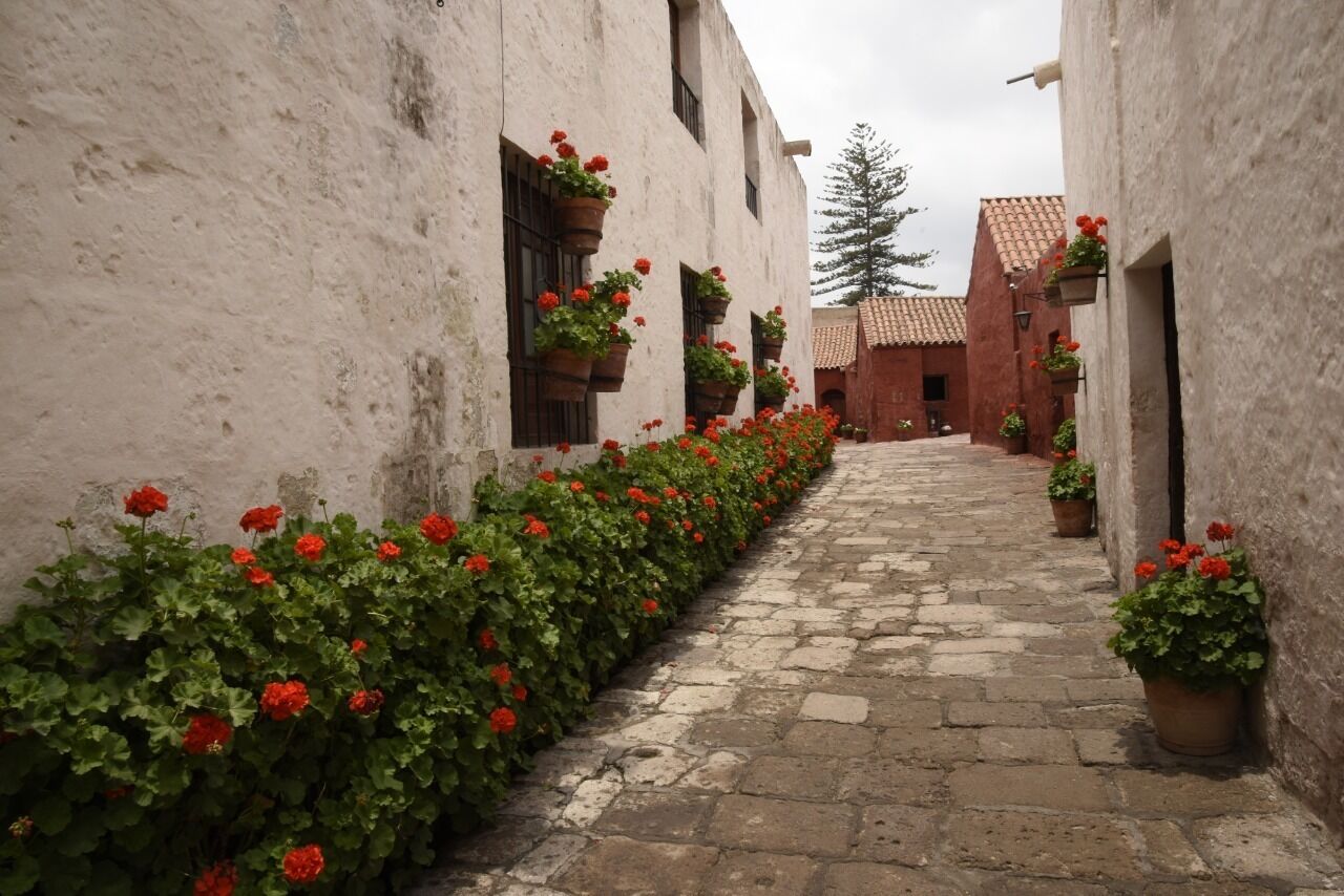 A narrow cobblestone alley flanked by buildings with white walls and red-tiled roofs.