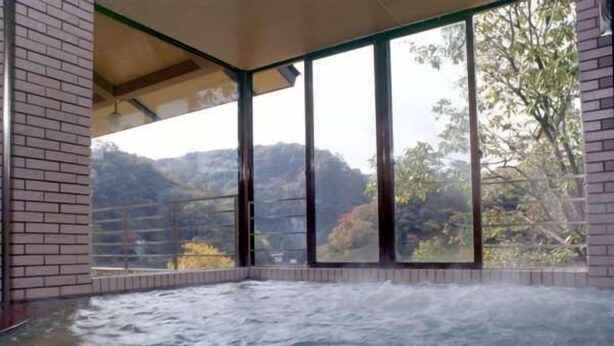 Spa - Taishakukyo Kanko Hotel Kinsaikan (Shobara)