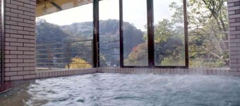 Taishakukyo Kanko Hotel Kinsaikan