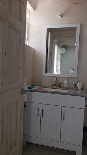 A bathroom with a white vanity, a mirror, a sink, and a toilet. - Raedene (Bridgetown)