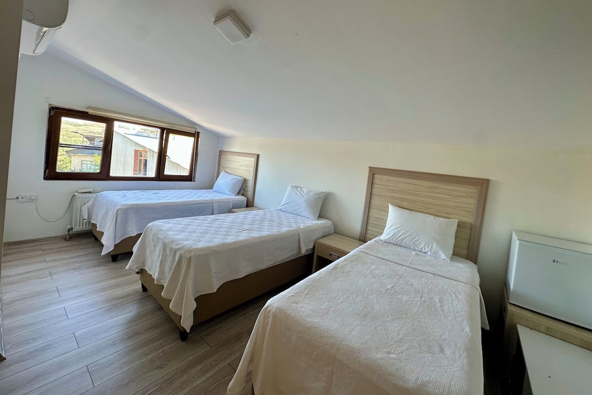 Classic Triple Room