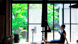 A room with tatami flooring, a traditional Japanese fan, and a view of greenery outside.