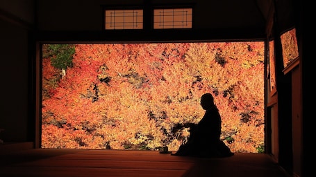 Interior. Pure Hotel