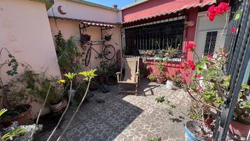Stroll through this serene courtyard, surrounded by lush greenery and a vibrant red building.
