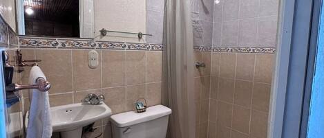 Un baño con inodoro, lavamanos y ducha.