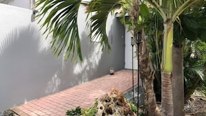 A small outdoor area with a palm tree, a lantern, and a brick pathway.