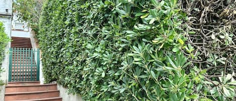 Overnatningsstedets område