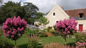 Une maison traditionnelle dotée d’un jardin bien entretenu, agrémenté d’arbres en fleurs et d’un étang.