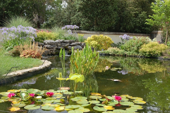 Ein friedlicher Gartenteich mit Seerosen und Teichrosen, umgeben von verschiedenen Pflanzen und einer Steinmauer.
