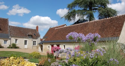Between Amboise and Chenonceaux, 4* gite with private spa