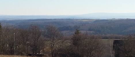 A rural landscape with a clear sky, a few trees, and a distant view of hills.