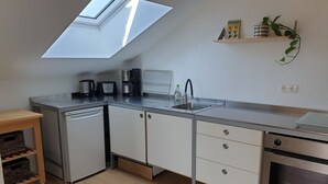 Une cuisine moderne dotée d’une lucarne, d’appareils électroménagers en acier inoxydable et d’une petite étagère ornée d’une plante.