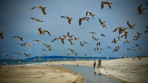 En strand med en liten bäck som rinner genom den, omgiven av sand och vatten.