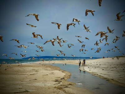 In the center of Portugal, in nature in a rustic house with garden and river