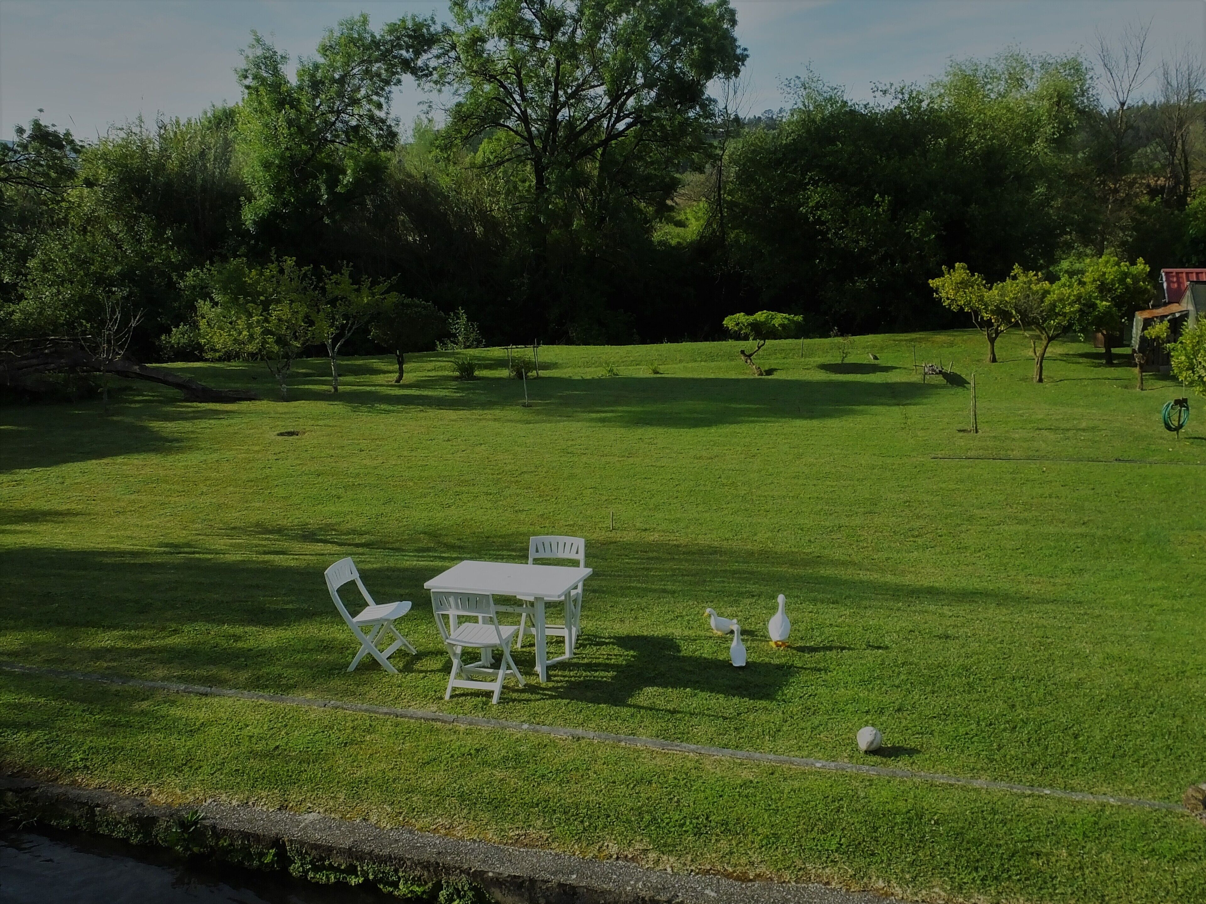 A grassy outdoor area with a white table and chairs, surrounded by trees and a small building.