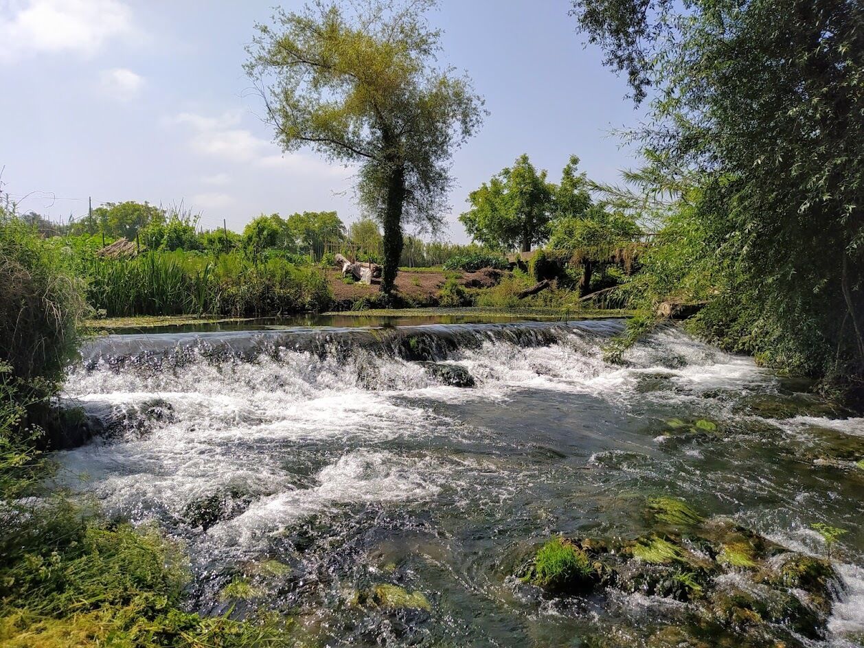 A natural water feature with a cascading waterfall surrounded by lush greenery and trees.