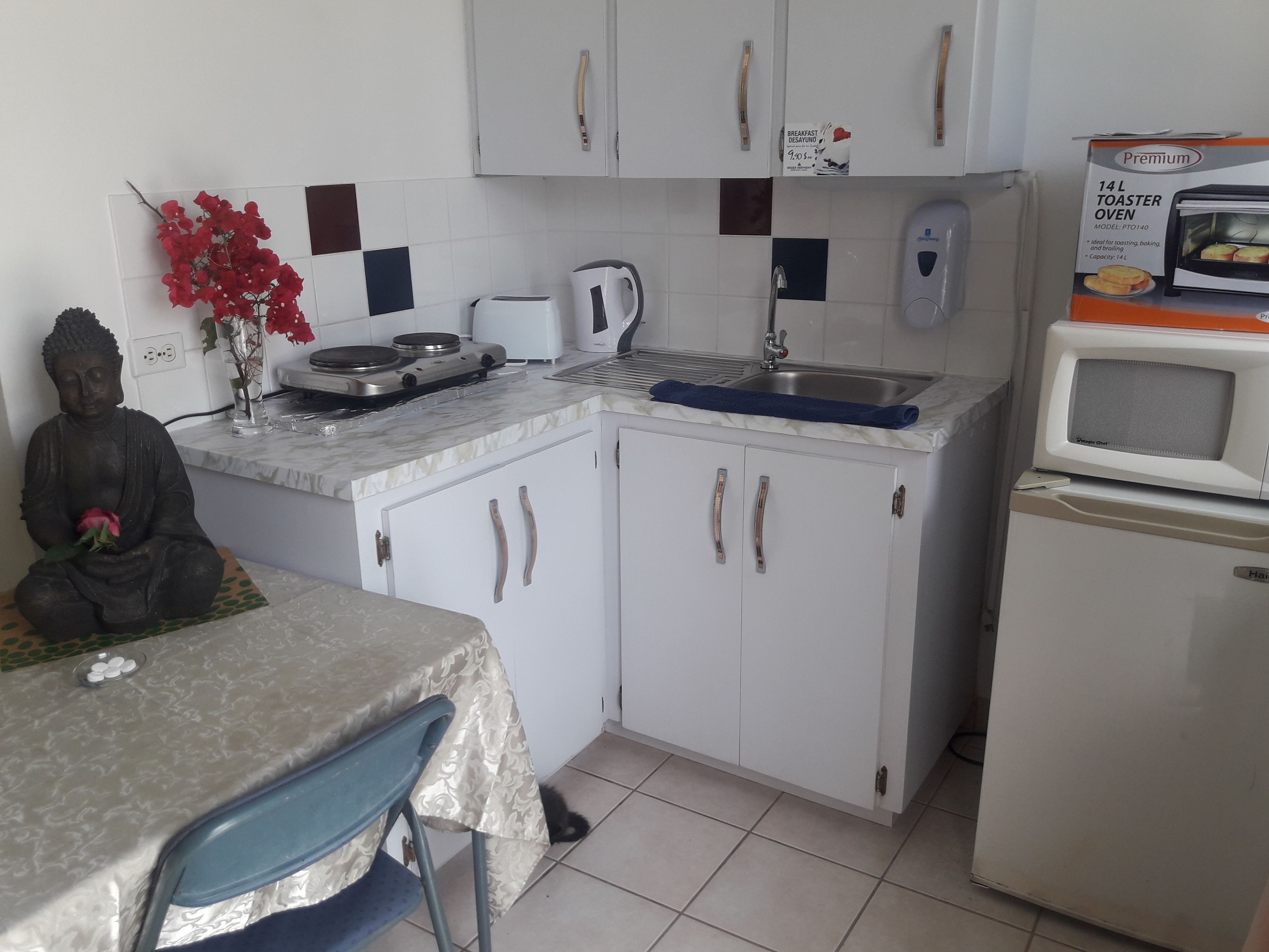 Foto - Palmita Hotel Hostel