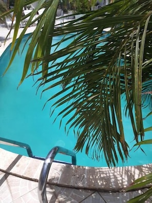 Deluxe Apartment | Terrace/patio - Palmita Hotel Hostel (Oranjestad)