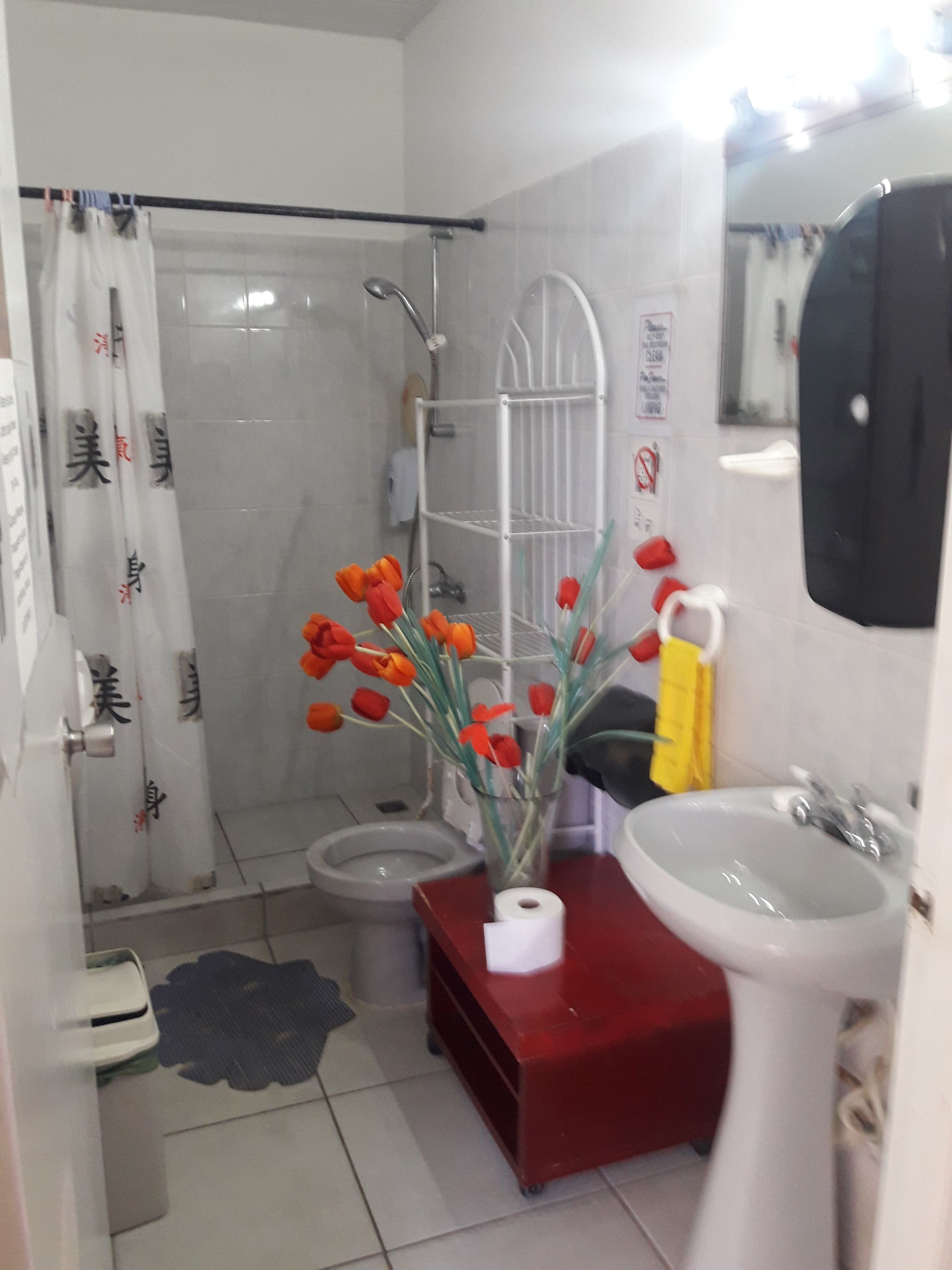 Foto - Palmita Hotel Hostel