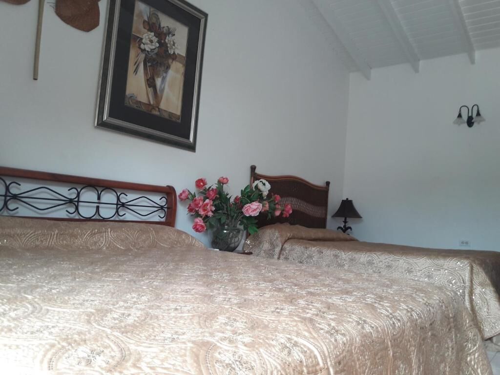 Foto - Palmita Hotel Hostel