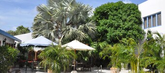 Palmita Hotel Hostel