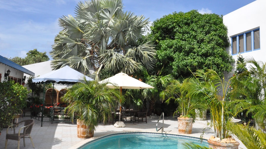 Palmita Hotel Hostel