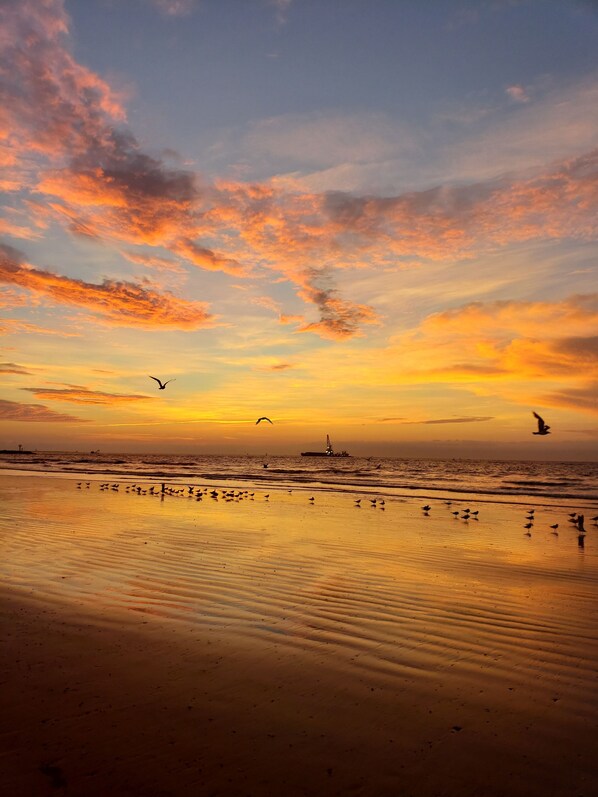 On the beach, sun-loungers, beach towels
