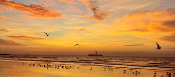  プライベートビーチのカナベラル岬にある美しい1階オーシャンフロントコンドミニアム。