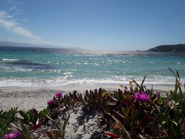 Am Strand