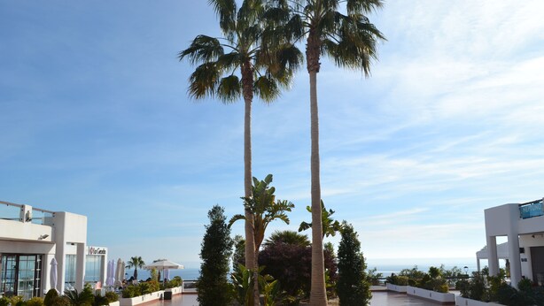 A rooftop terrace with palm trees, a pool, and a view of the sea. - Apartment Costa Almeria San Juan de los Terreros (san juan de los terreros)