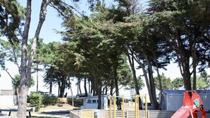 A playground with a red slide and swings, surrounded by trees and a wooden fence.