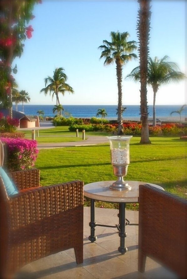 Property grounds - Spacious Open Floor plan-3 Bedroom 3 Bath-New Pickle ball Courts (Los Cabos)