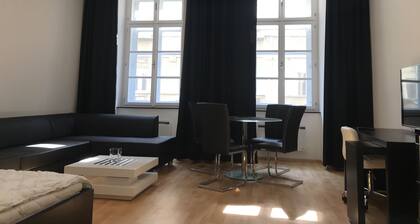 Апартаменты Люкс. В самом центре Праги. В 200 м от Вацлавской площади