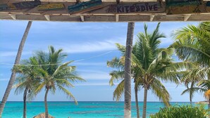 A beach view with palm trees and a clear sky.
