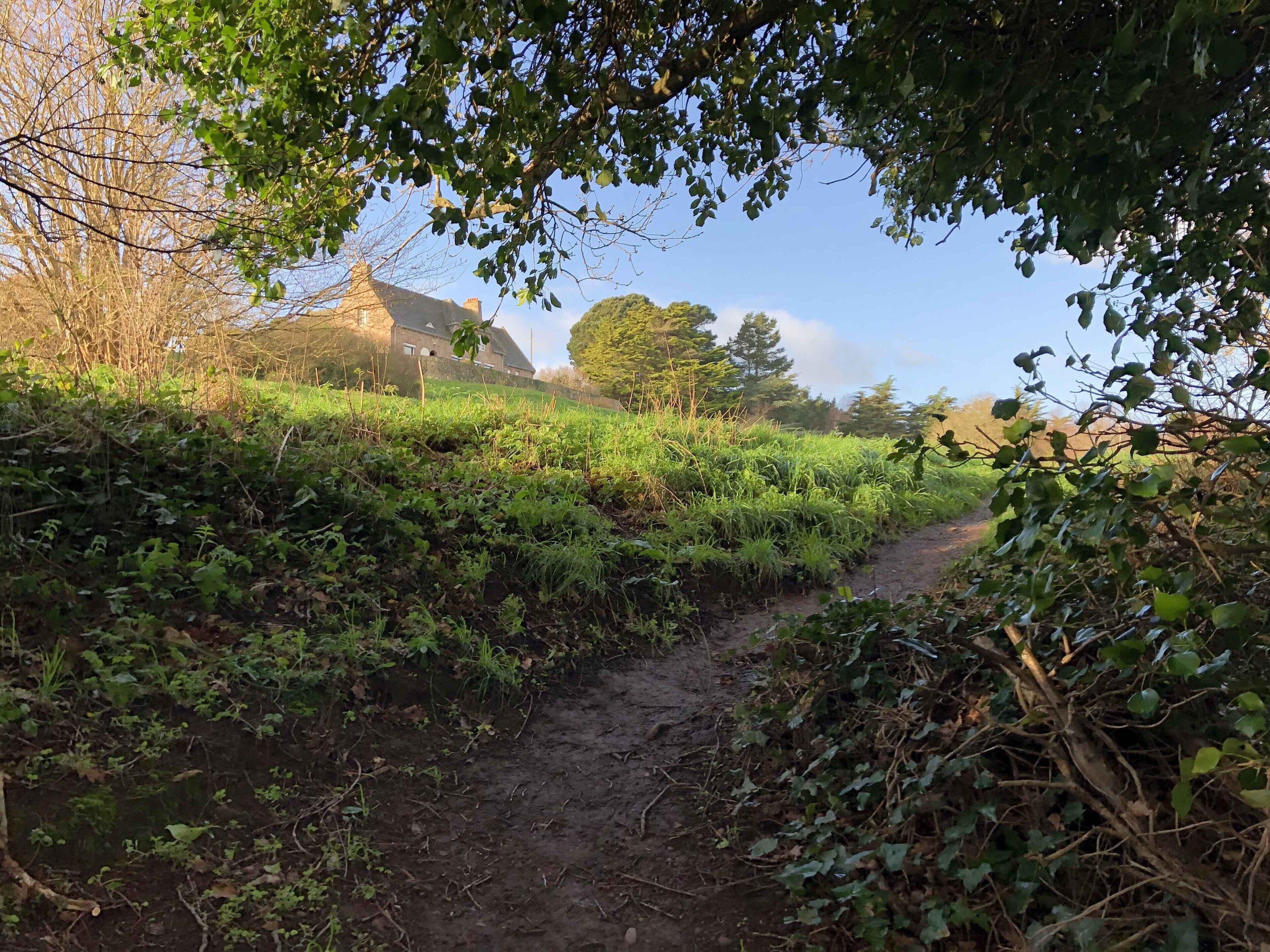 المنطقة المحيطة بالمنشأة