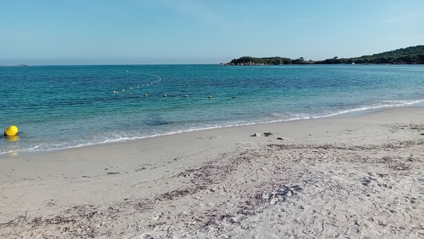 Una playa con aguas azules cristalinas, una orilla arenosa y una isla lejana con vegetación.