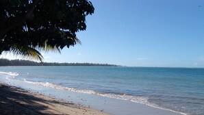 Une plage où l’on voit une personne se promener le long du rivage, des palmiers et un ciel dégagé.