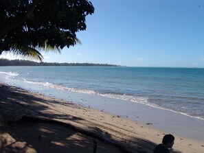 Playa en los alrededores y camastros 