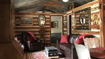 Télévision, cheminée, lecteur de DVD, livres