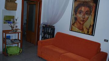 TV, lettore DVD, libri, biblioteca musicale