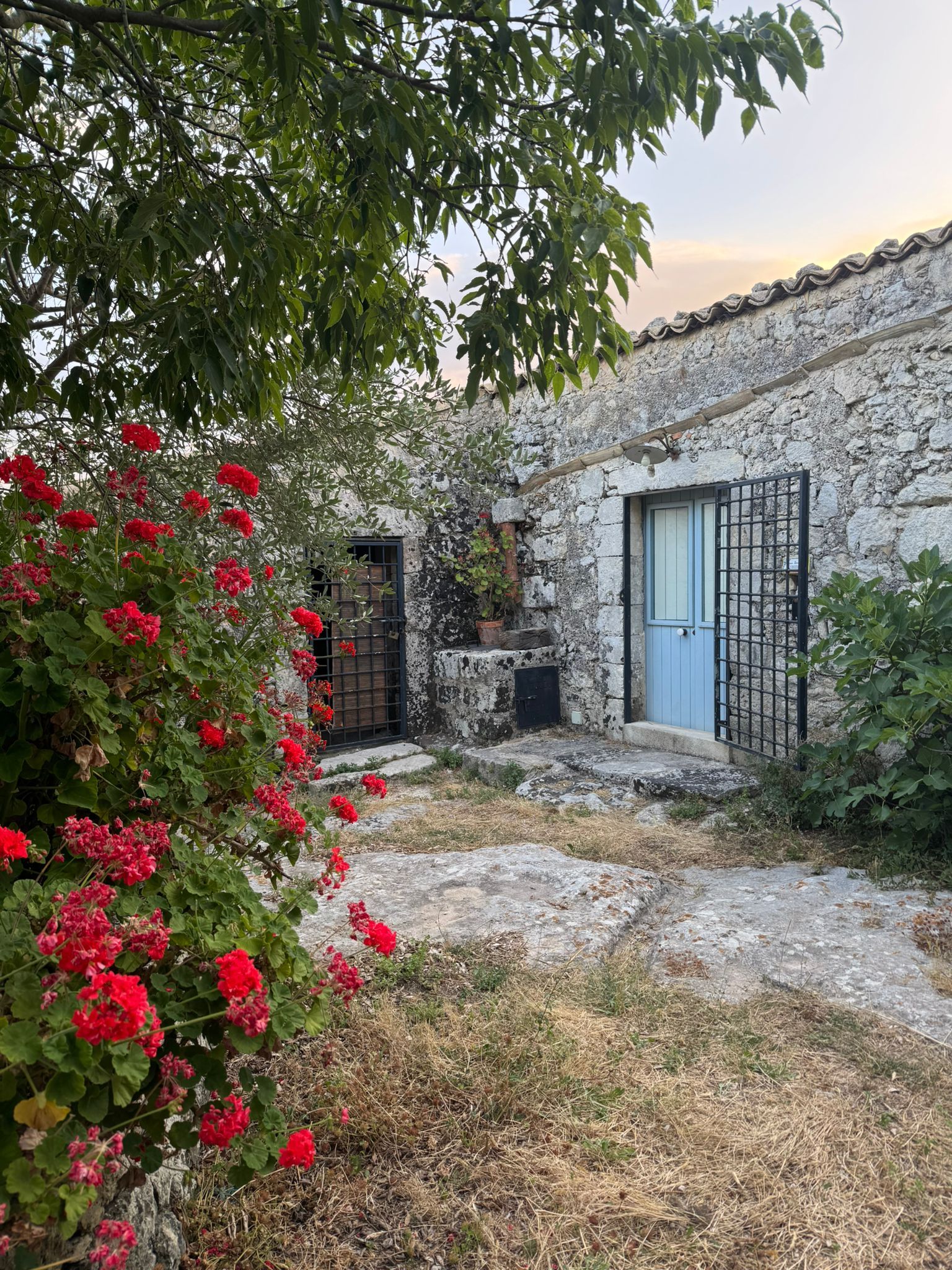 A stone building with two doors, one with a metal gate, surrounded by dry grass and red flowers.