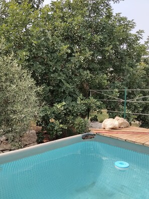 A swimming pool with a clear blue water surface, surrounded by lush green trees and a stone wall.
