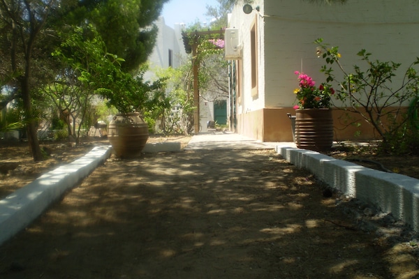 Path leading to main house with studio on side.