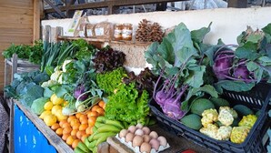 Diverse verse producten, zoals groenten, fruit en eieren, gepresenteerd bij een marktkraam.