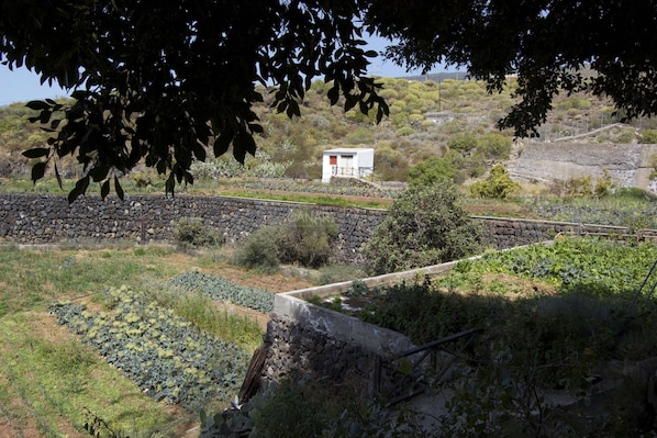 A rural landscape with a stone wall, a small white building, and a railway track.